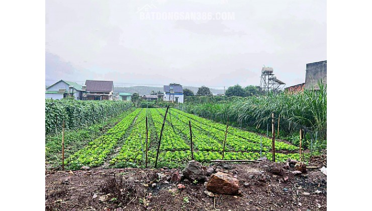 500m2 mặt hẻm tân phú, tân hội, đức trọng cũ, lâm đồng